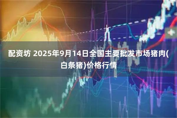 配资坊 2025年9月14日全国主要批发市场猪肉(白条猪)价格行情