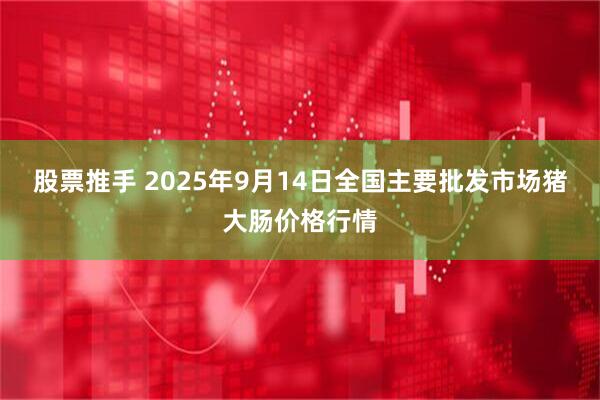 股票推手 2025年9月14日全国主要批发市场猪大肠价格行情