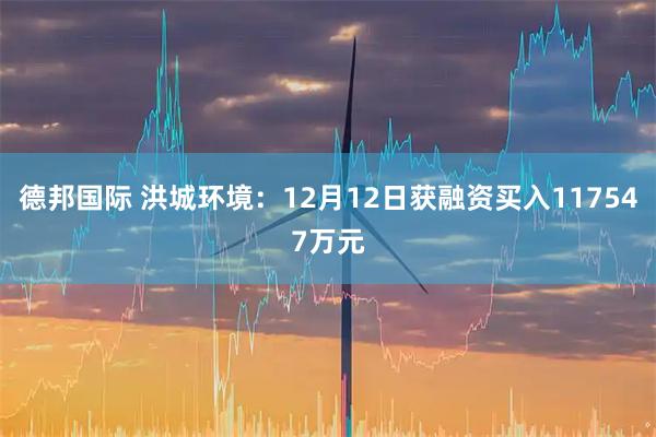 德邦国际 洪城环境：12月12日获融资买入117547万元